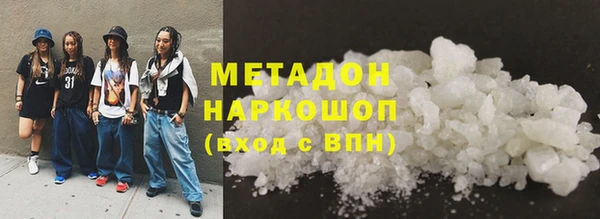 индика Алексин