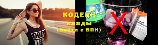 ПСИЛОЦИБИНОВЫЕ ГРИБЫ Алзамай