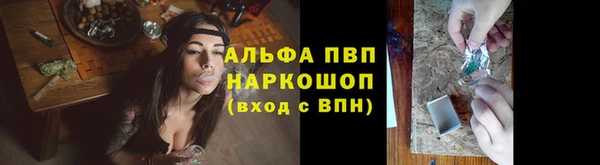 индика Алексин