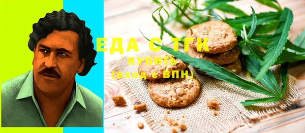 индика Алексин