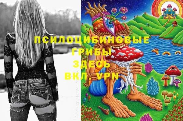 индика Алексин