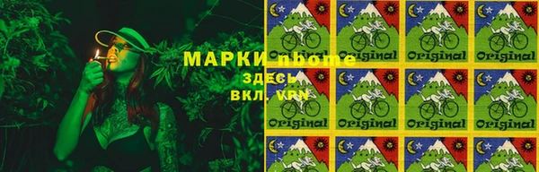 ПСИЛОЦИБИНОВЫЕ ГРИБЫ Алзамай