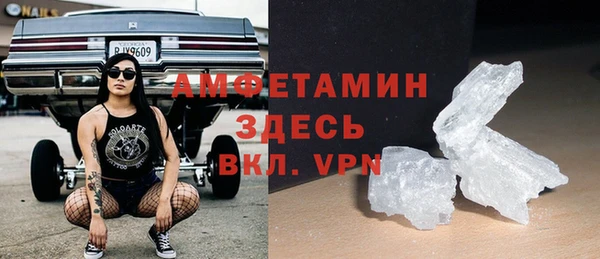 индика Алексин