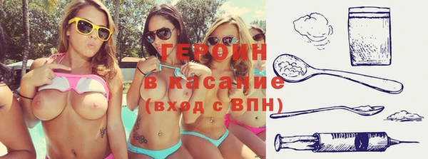 индика Алексин